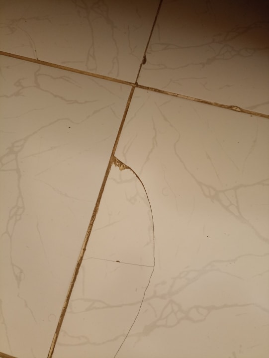 Zimmer Ghazala Gardens