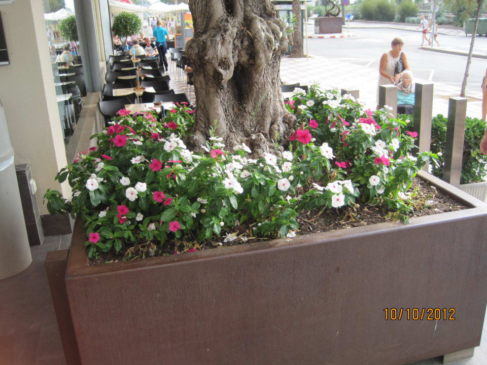 Eingangsbereich AQUA Hotel Promenade & Spa