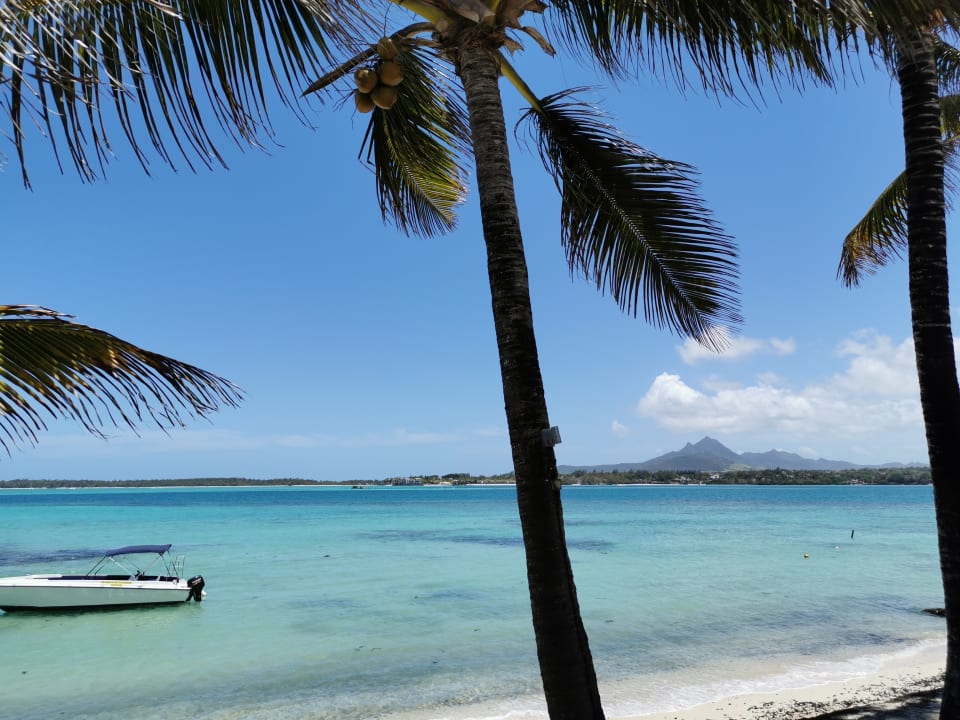 Strand Tropical Attitude - Adults only