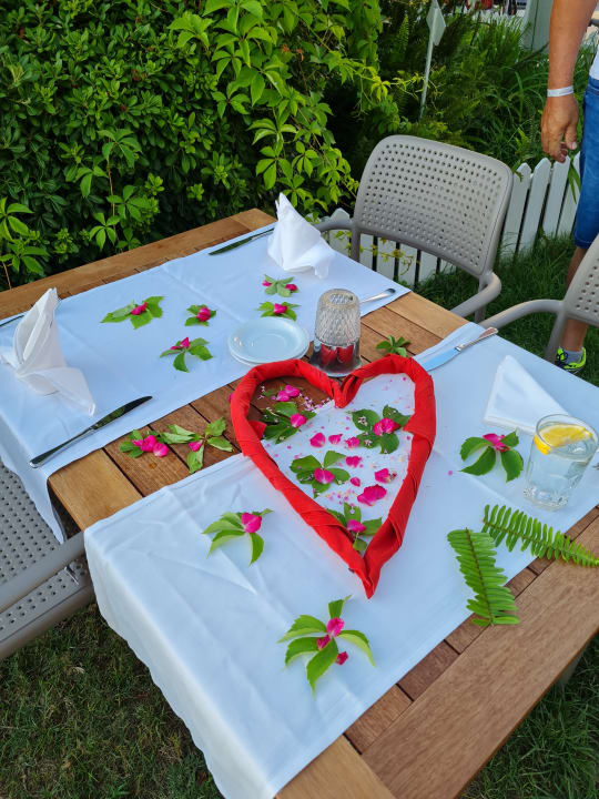 Gastro Side Star Beach