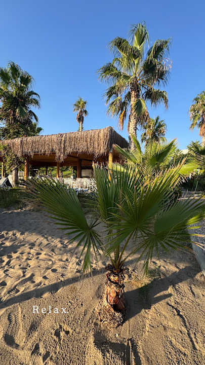 Gartenanlage Sultan of Dreams Hotel & Spa