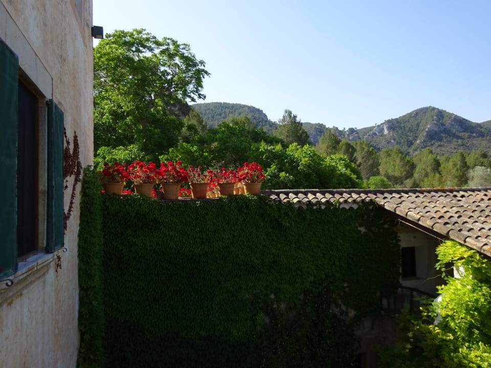 Außenansicht Hotel Son Boronat