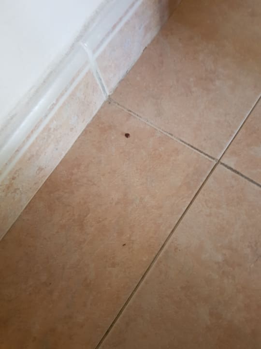 Zimmer Hotel Oasis Dunas