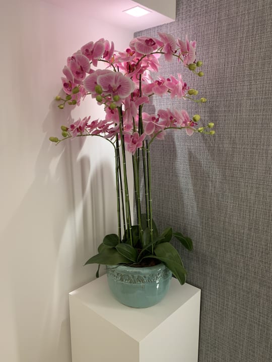 Sonstiges Hotel Sol e Mar Adults Only