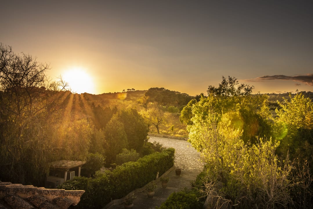 Ausblick Aumallia Hotel & Spa