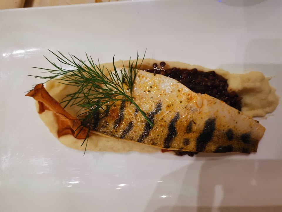 Gastro Hotel Samerhof und Nebenhäuser