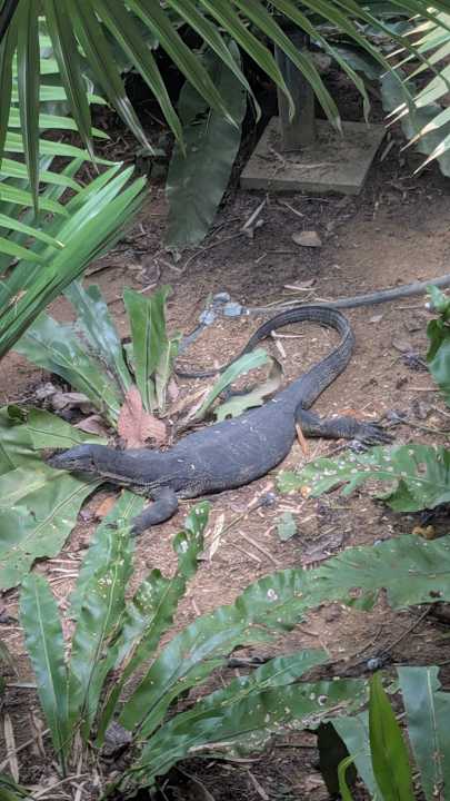 Gartenanlage Khao Lak Merlin Resort
