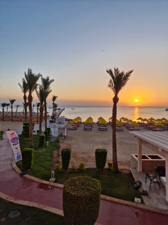 Strand Pickalbatros Palace Resort