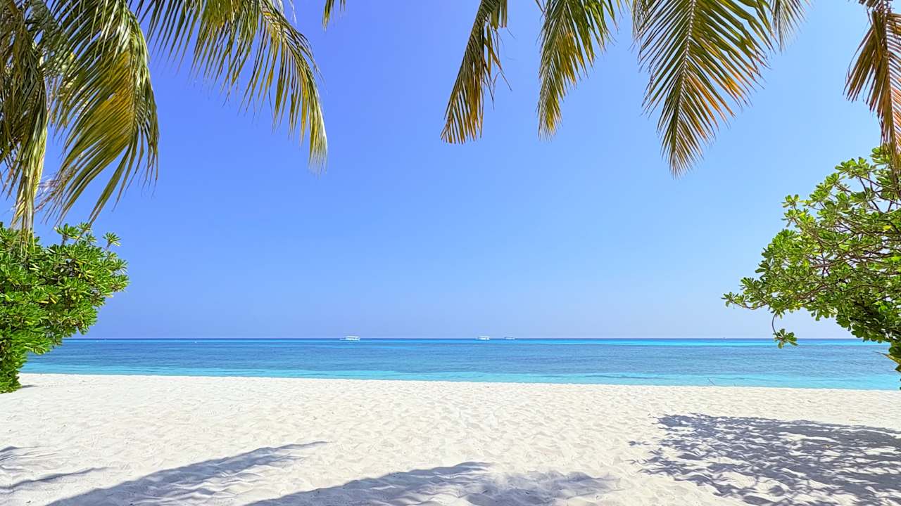 Zimmer Kuredu Island Resort & Spa