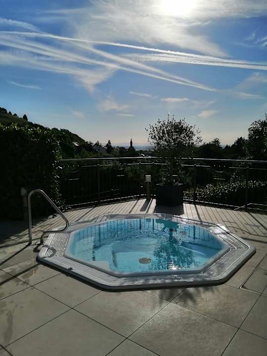 Pool Wiedemann's Weinhotel