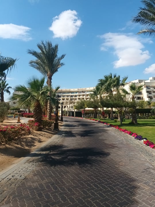 Gartenanlage Steigenberger Aqua Magic