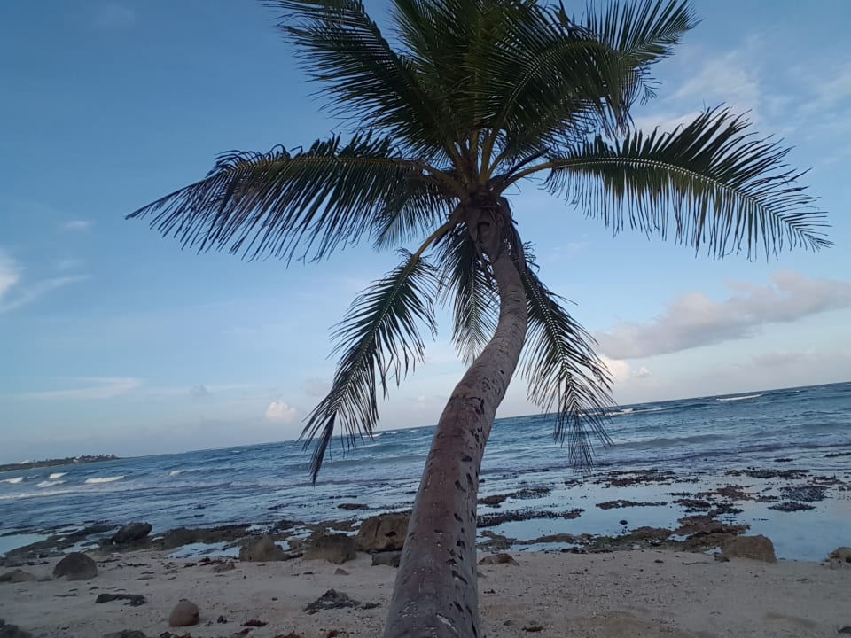 Strand Akumal Bay Beach & Wellness Resort