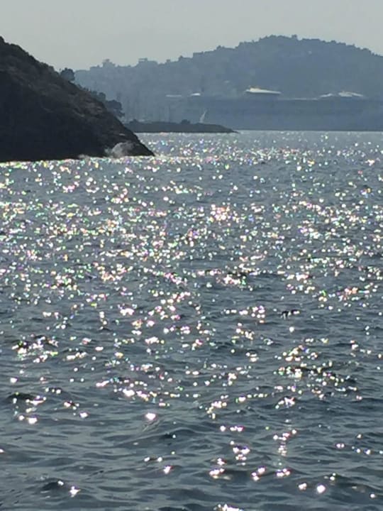 Blick von Badeplattform Ramada Resort Kusadasi & Golf