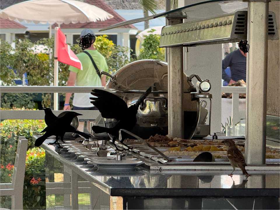 Gastro Paradisus Varadero Resort & Spa