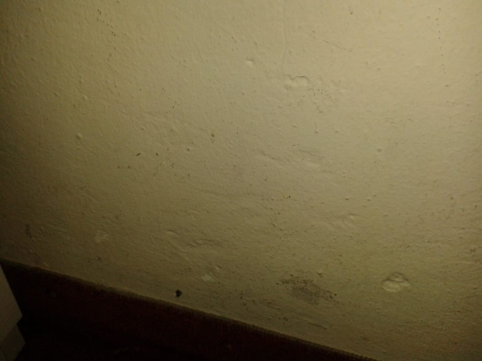 '"Hundehotel" Ferienhotel Alber