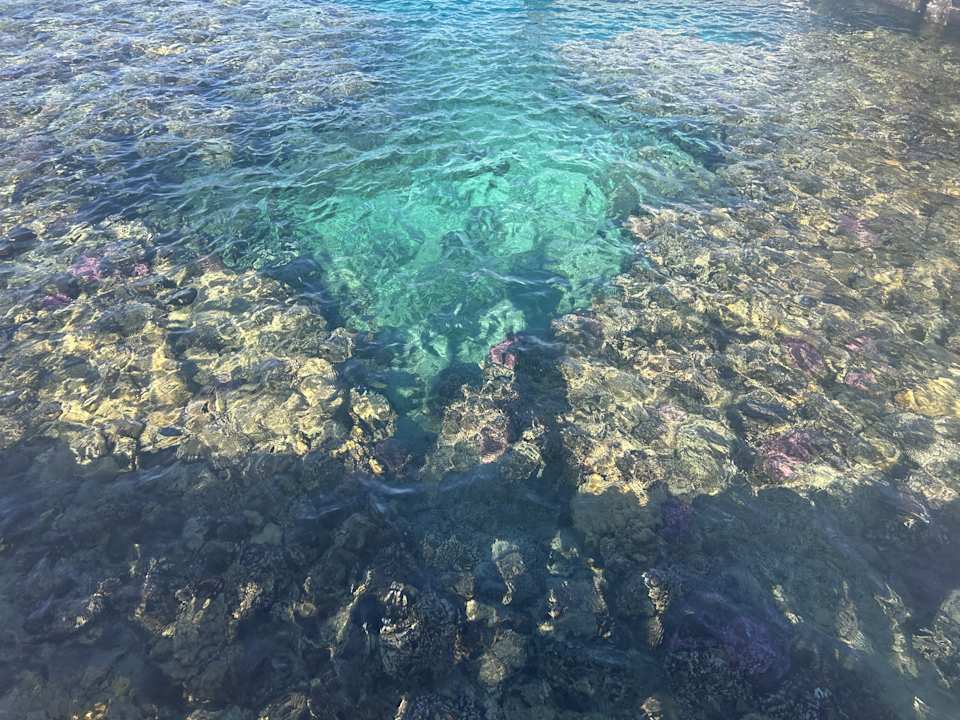 Sonstiges Steigenberger Coraya Beach - Adults only