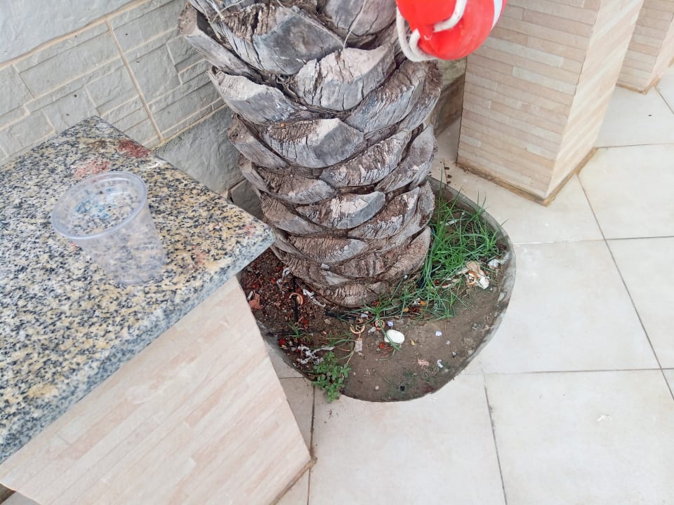 Sonstiges Miramar Al Aqah Beach Resort