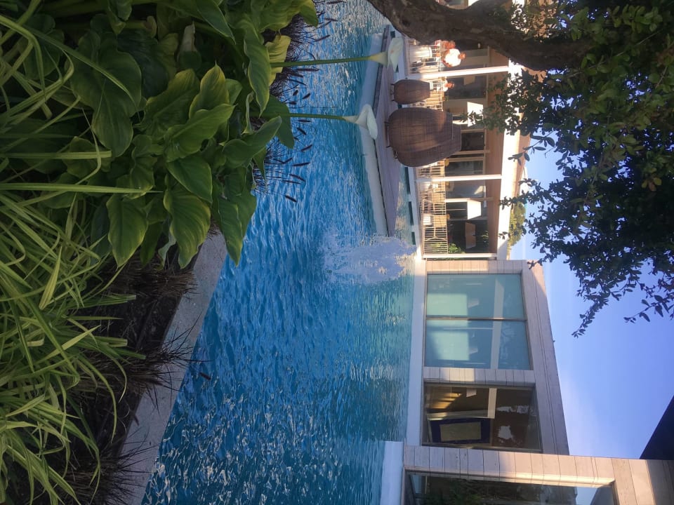 Gastro Prinsotel La Dorada