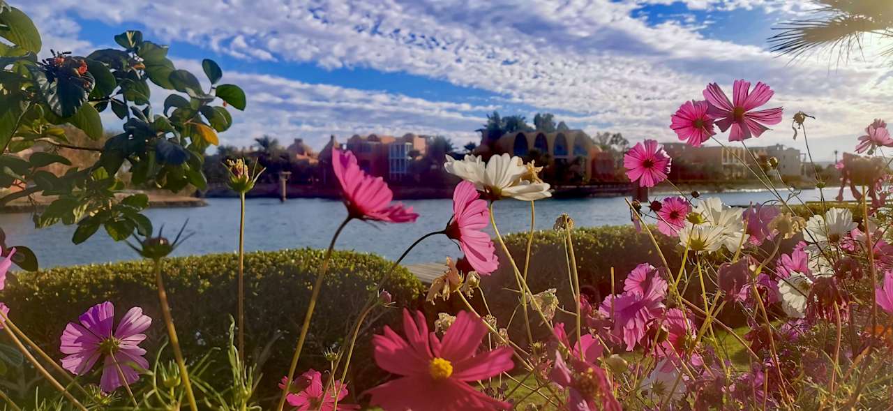 Gartenanlage Hotel Three Corners Ocean View prestige - Adults only