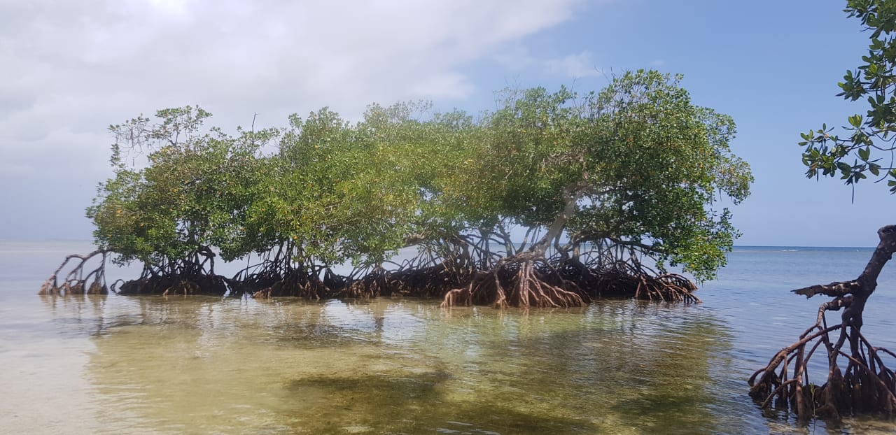 Strand Bahia Principe Grand El Portillo