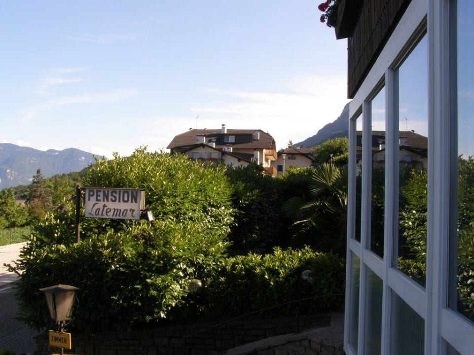 Blick auf die Palme Pension Latemar