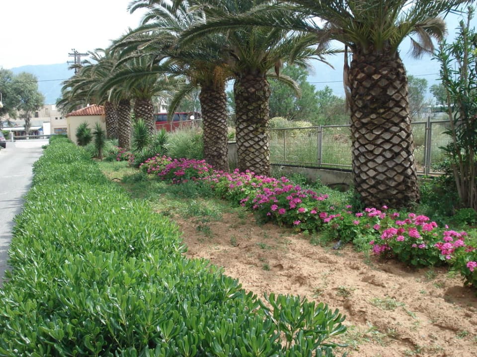 Außenbegrenzung Westseite Vantaris Luxury Beach Resort