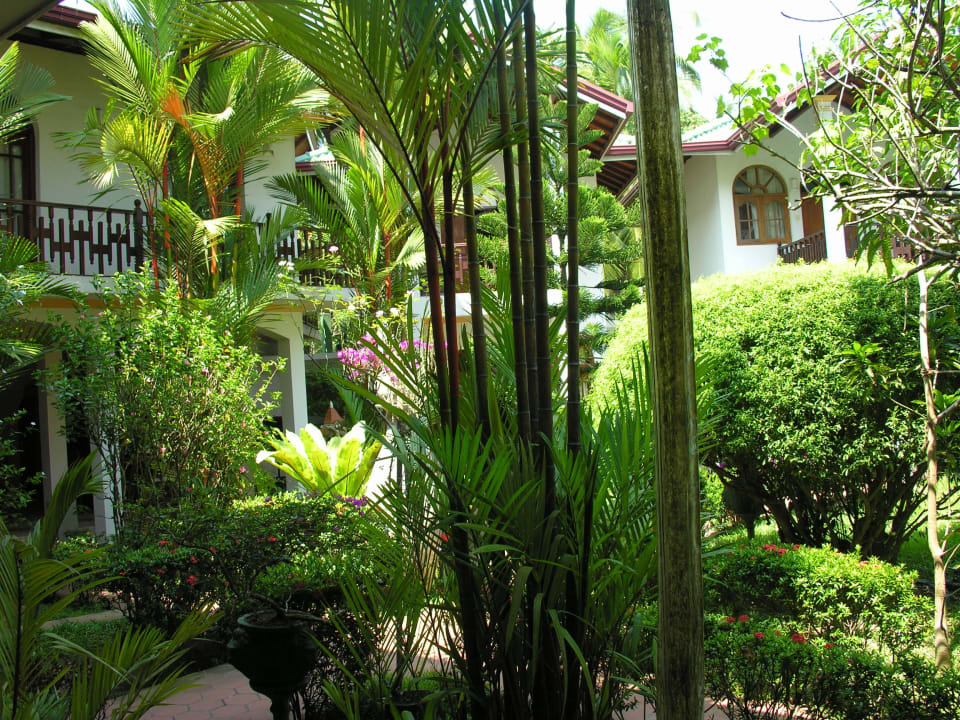 Grüne Oase Hotel Bentota Village