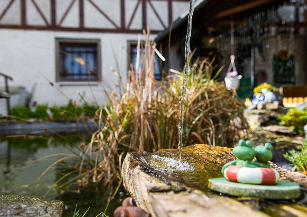 Teich Kräuterhotel Zur Klostergrotte