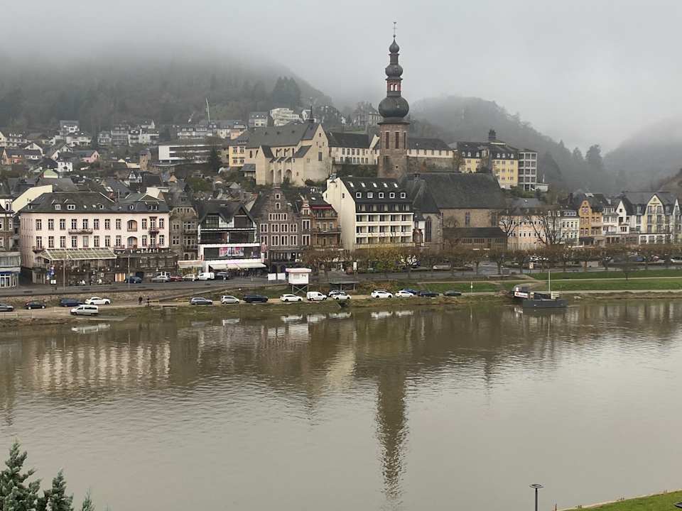 Ausblick Moselstern Hotel Brixiade & Triton