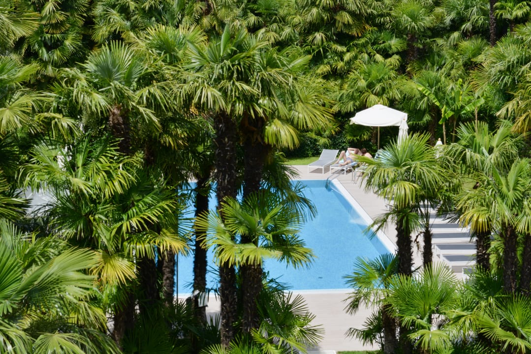 Pool Hotel Venezia
