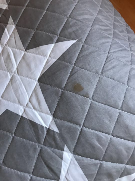 Zimmer Ferienwohnung Deichgraf