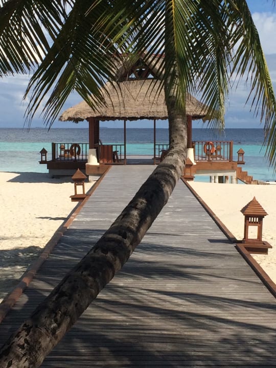 Außenansicht Banyan Tree Vabbinfaru