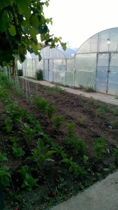 Anbau und Gewächshaus Hotel Geranion Village