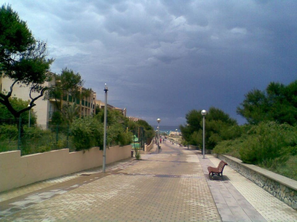 Der Weg zum Strand VIVA Cala Mesquida Suites & Spa 16+