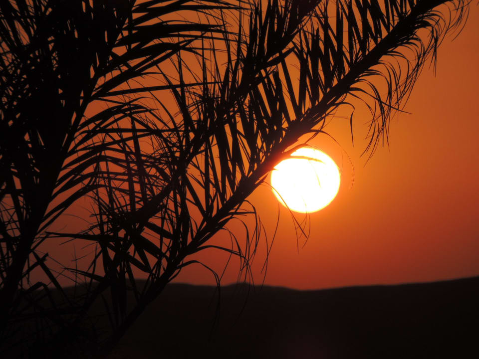 Sonnenuntergang Hotel Gorgonia Beach Resort