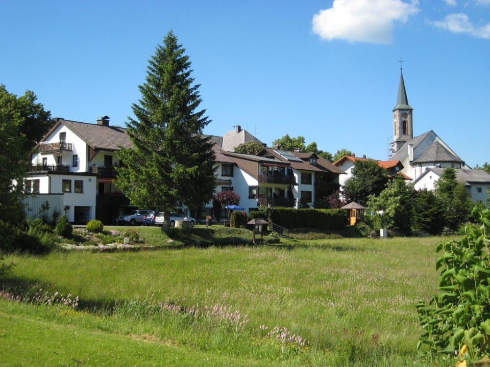 Blick vom Tennisplatz Gasthof Schwarzwaldtanne