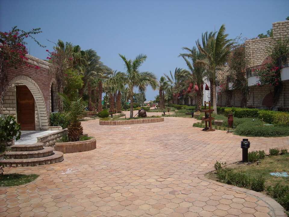 Schön und gepflegt Aladdin Beach Resort
