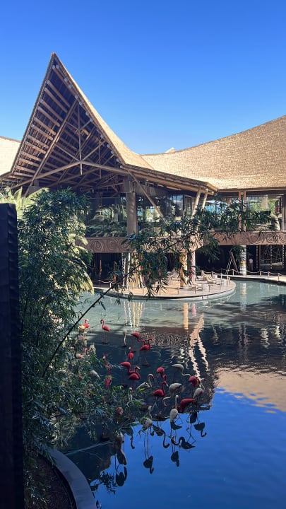 Außenansicht Lopesan Baobab Resort