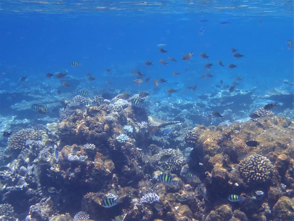 Sport & Freizeit Filitheyo Island Resort