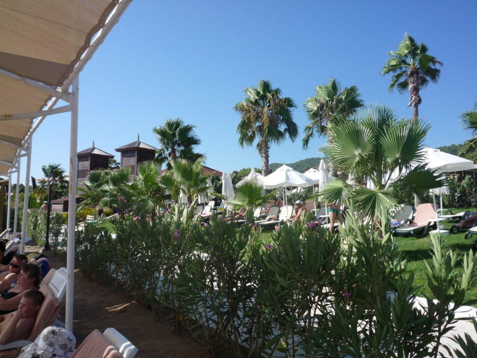 Вид с пляжа на территорию и ландшафт Crystal Flora Beach Resort