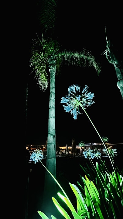 Gartenanlage Asterias Beach Resort