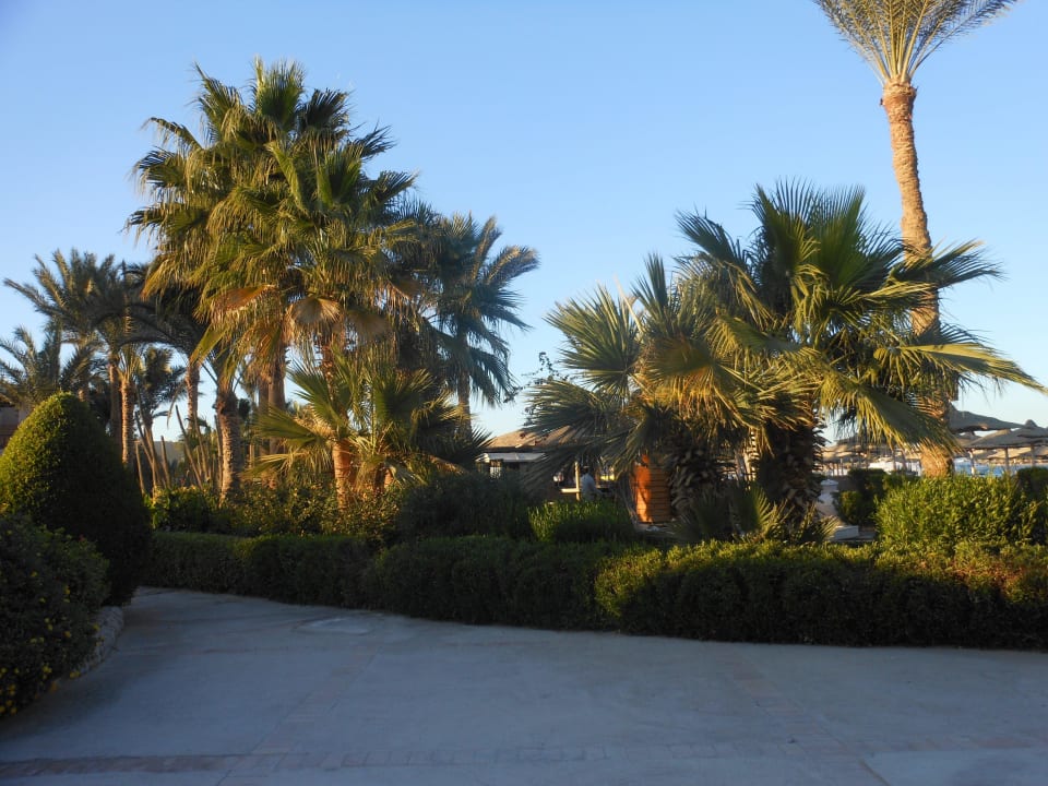 Am Strand Jaz Makadi Oasis Resort