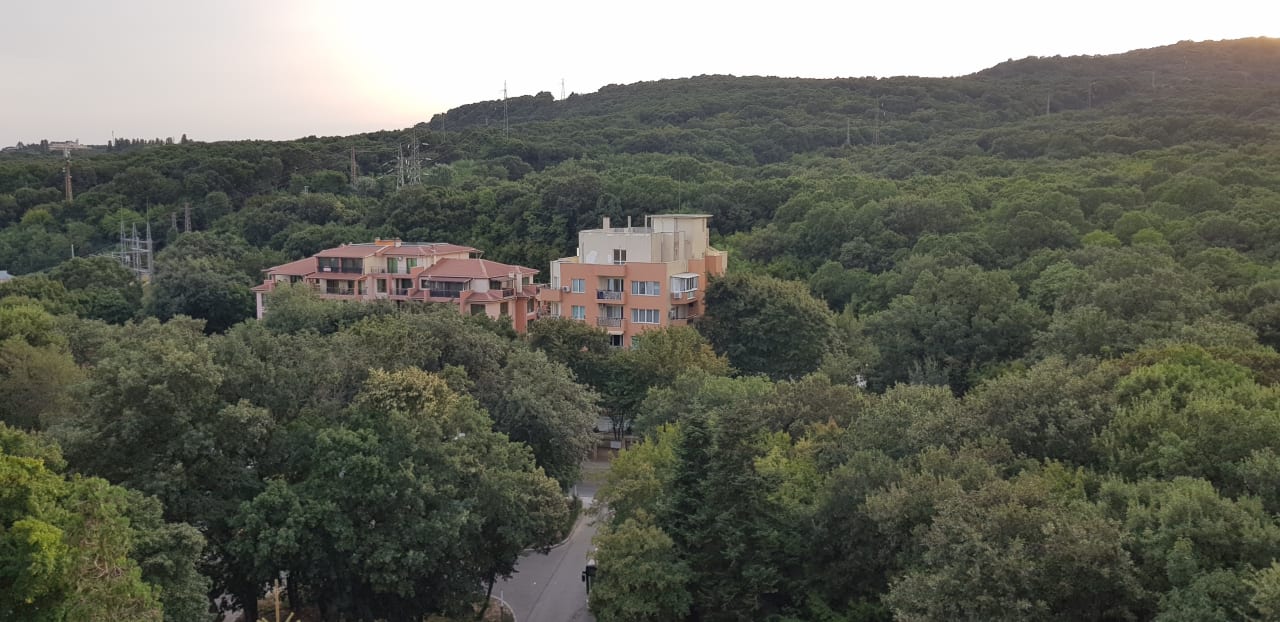 Ausblick HVD Viva Club Hotel