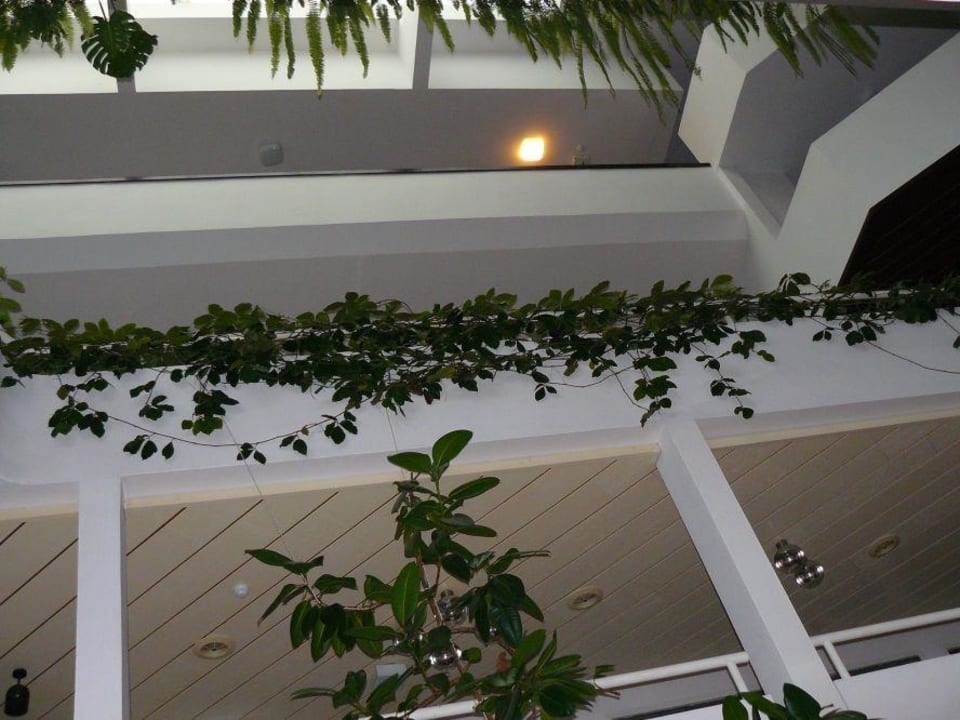 Liburna Aminess Younique Liburna Hotel