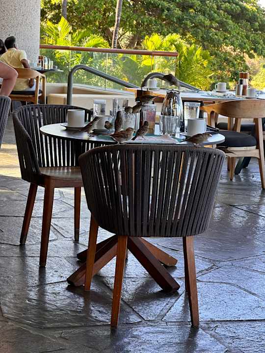 Sonstiges The Westin Hapuna Beach Resort