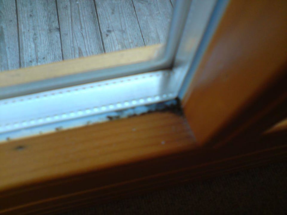 Der Blick zum Fenster Gut Wenghof - Family Resort