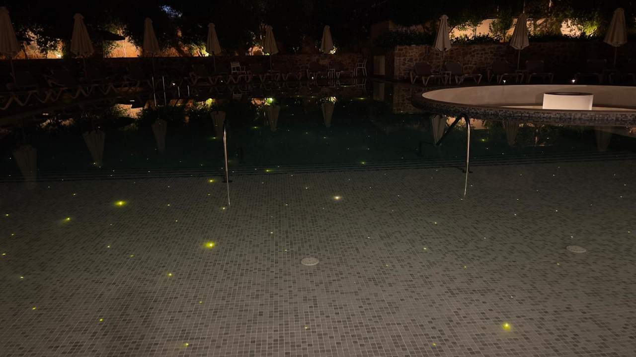 Pool Cactus Royal