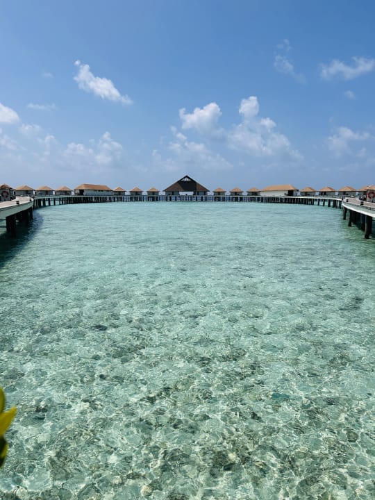 Strand Cinnamon Velifushi Maldives - Free One-Way Speedboat and 02 Kids Under 12 Stay & Dine Free