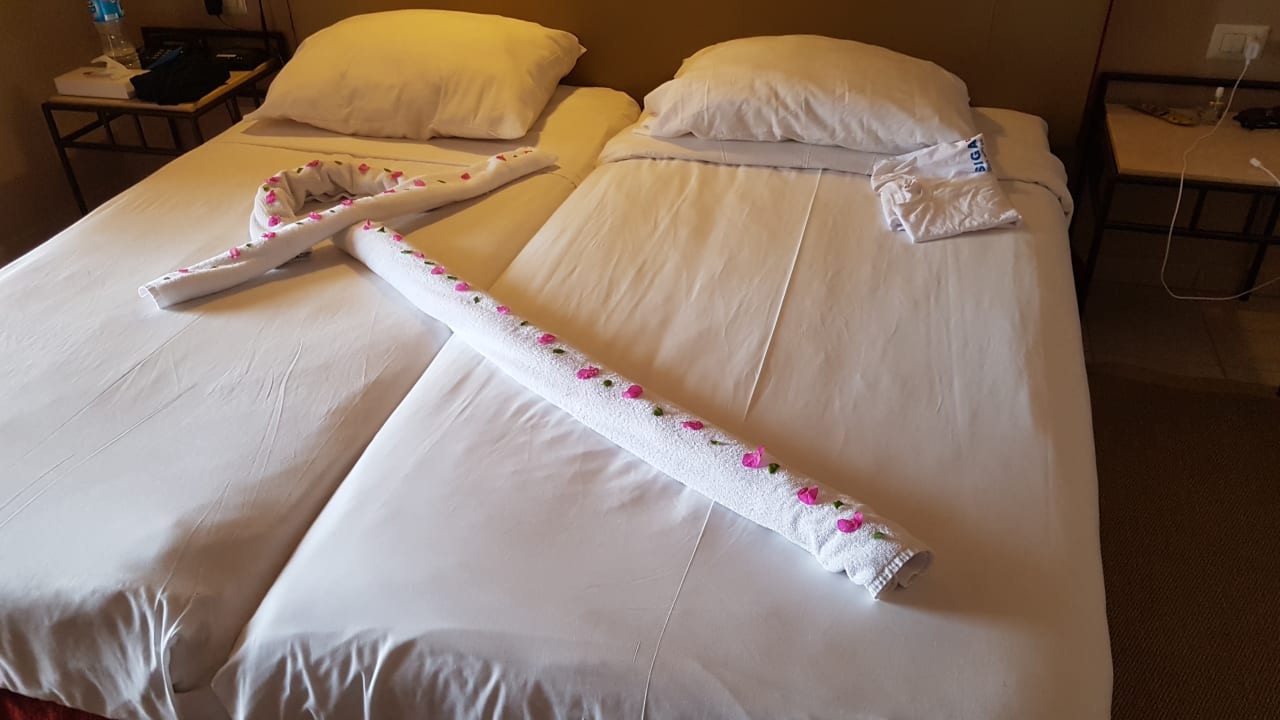 Zimmer Jaz Makadi Oasis Resort