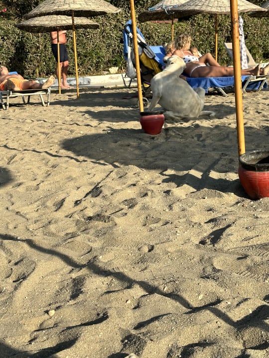 Strand Kustur Club Holiday Village